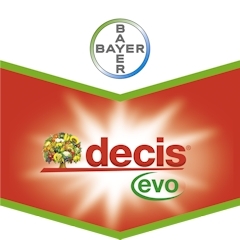 DECIS EVO LT.5