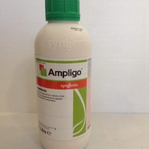 AMPLIGO LT.1