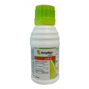 AMPLIGO ML.500