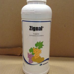 ZIGNAL LT.1
