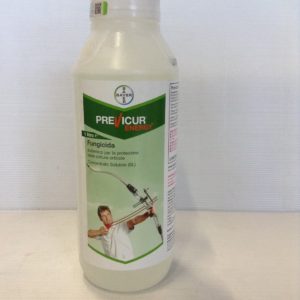 PREVICUR ENERGY LT.1