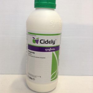 CIDELY LT.1