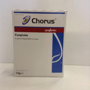 CHORUS KG.1