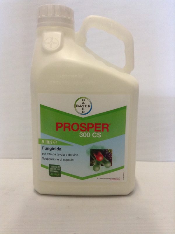 PROSPER 300 CS LT.5