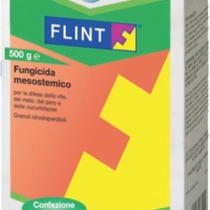 FLINT GR.500