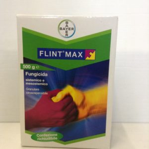 FLINT MAX GR.500