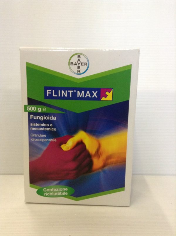 FLINT MAX GR.500