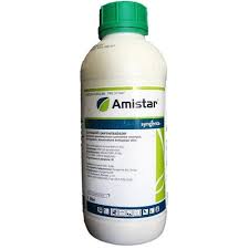 AMISTAR LT.1