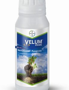 VELUM PRIME LT. 0.5
