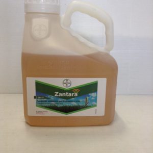 ZANTARA LT.3