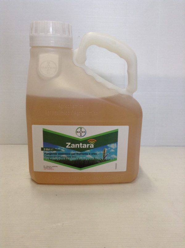 ZANTARA LT.3