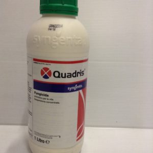 QUADRIS LT.1