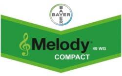 MELODY COMPACT WG KG.10
