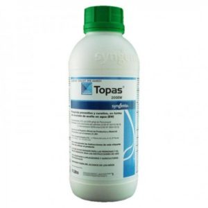 TOPAS 200 EW ML.500