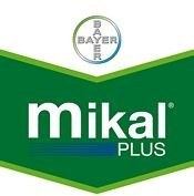 MIKAL F KG.6