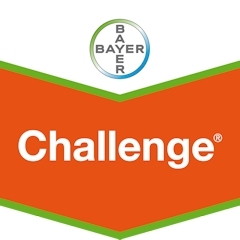 CHALLENGE LT.1