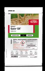 GAIO SX GR.20