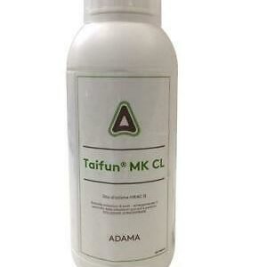 TAIFUN LT.1