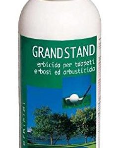 GRANDSTAND LT.1