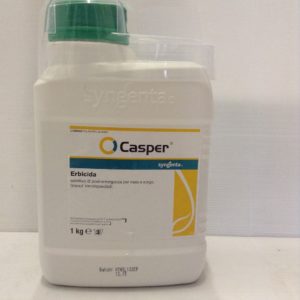 CASPER KG.1
