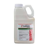 CALLISTO LT.5
