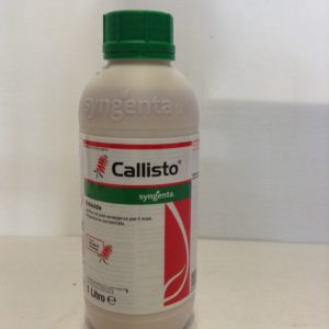 CALLISTO LT.1