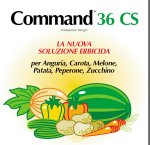 COMMAND 36 CS LT.1