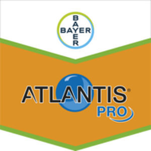 ATLANTIS PRO LT 4,5