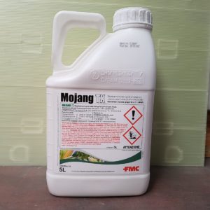 MOJANG TX LT 5