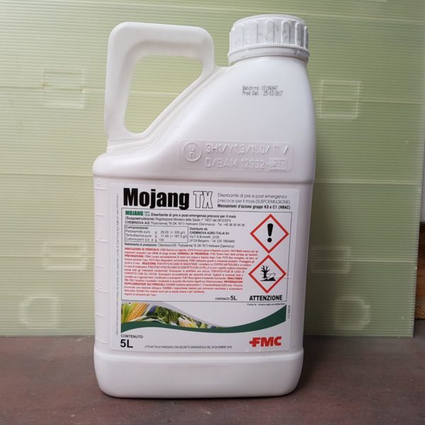 MOJANG TX LT 5