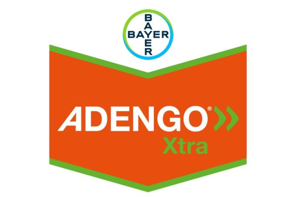 ADENGO XTRA ML.500