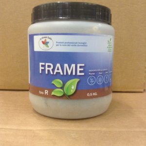 FRAME GR.500