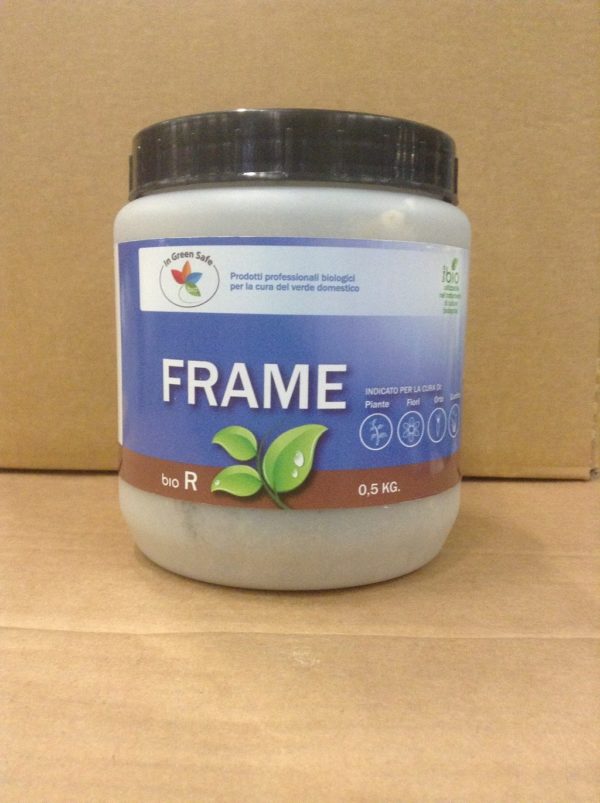 FRAME GR.500