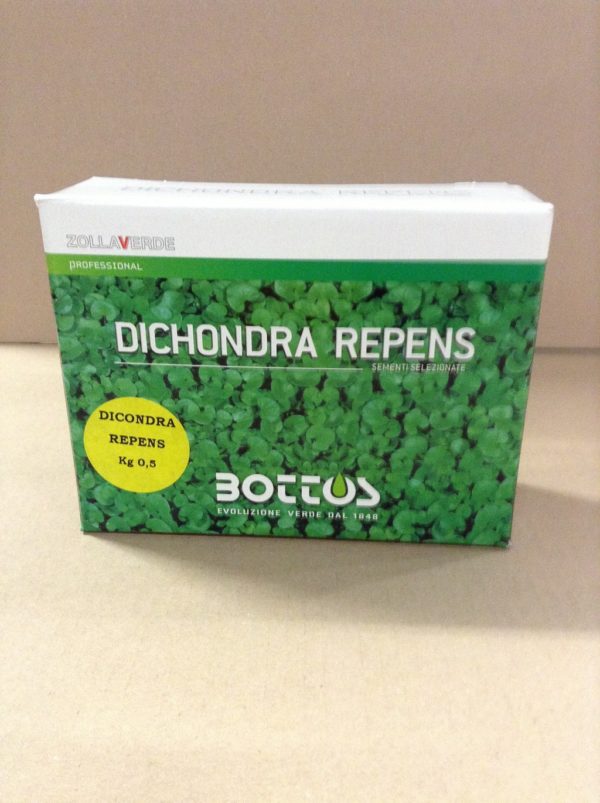 BOTTOS DICONDRA REPENS GR. 500