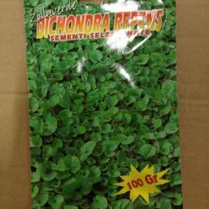 BOTTOS DICONDRA REPENS GR. 100