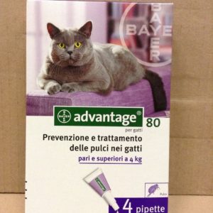 Bayer Advantage Spot On 80 GATTO + CONIGLIO (4 pipette per pulci) 4 x 0,8 ml