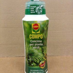 COMPO PIANTE VERDI ML. 500