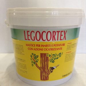 LEGO CORTEX KG.5