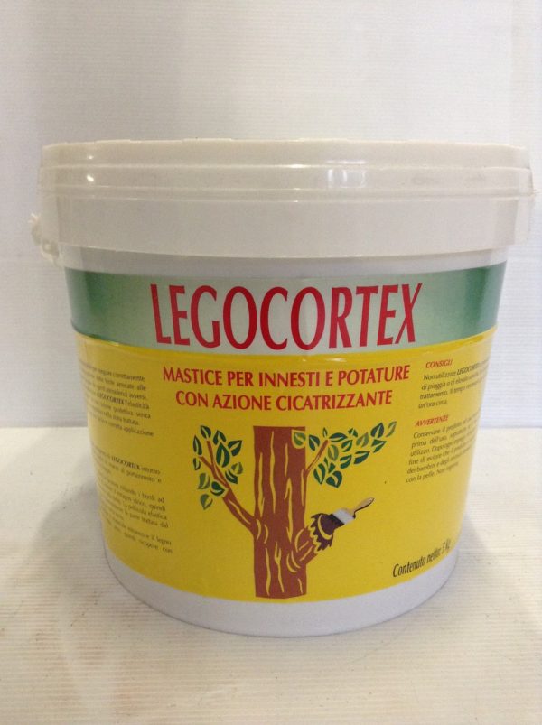 LEGO CORTEX KG.5