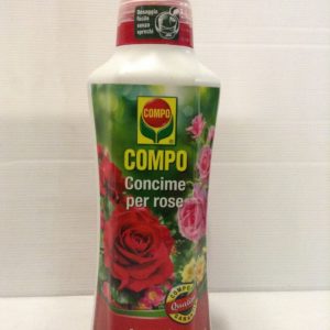 COMPO ROSE LT.1