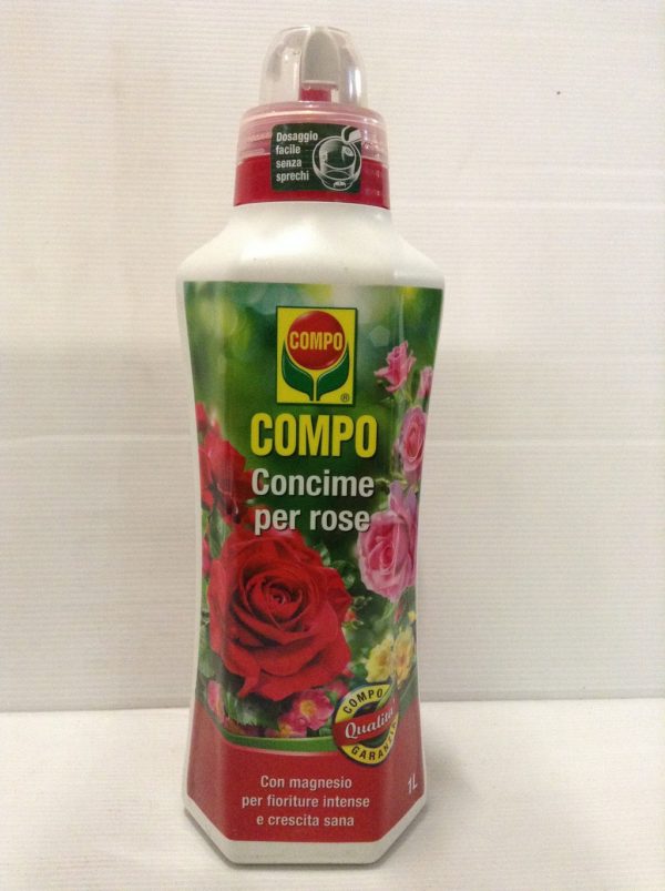 COMPO ROSE LT.1