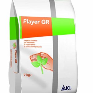 ICL PLAYER GR KG.7