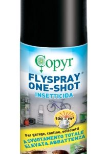 COPYR | Flyspray - One Shot - Autosvuotante Insetticida pronto all'uso Elimina rapidamente mosche, scarafaggi, formiche, insetti delle derrate - bombola 150 ml
