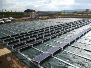 PLANTEX PLATINIUM SOLAR MT.2.5x50