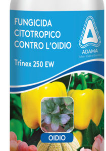 TRINEX 250 EW ML.500