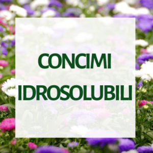 Concimi idrosolubili per floricoltura e vivaismo