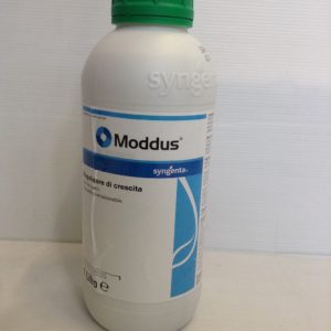 MODDUS LT.1