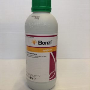 BONZI LT.1