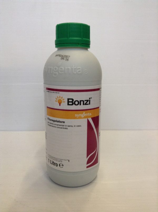 BONZI LT.1