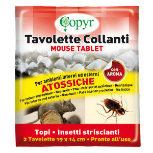 MOUSE TABLET